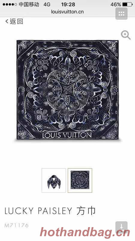 Louis Vuitton Scarf LVS00156